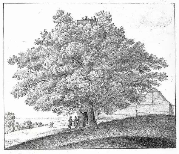 Wenceslaus Hollar