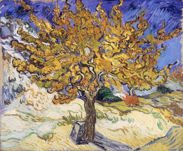 van Gogh